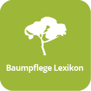 (c) Baumpflege-lexikon.de